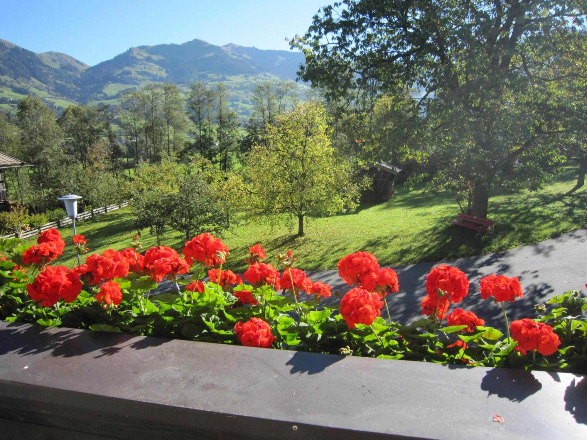 Pension Feiersinger Kitzbühel Esterno foto